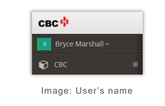 CBCPROC202009